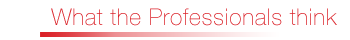 What the Professionals think